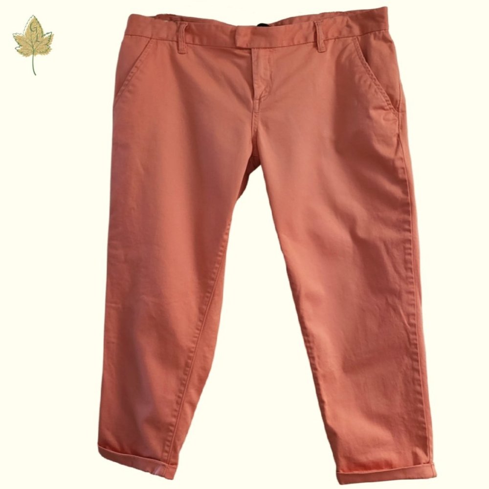 Calvin Klein | Cropped Pants | Coral - Size 8